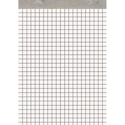 Produktbild von Notizblock ohne Deckblatt A6 50 Blatt 70 g/qm kariert