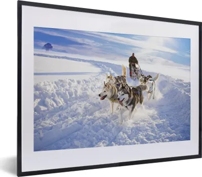 Produktbild von MuchoWow® MuchoWow® Gerahmtes Poster Huskys für Hundeschlitten 40x30 cm - Poster mit zchwarzem Bilderrahmen - Bilderrahmen - Poster im Rahmen