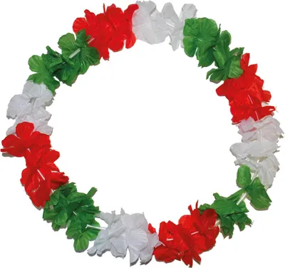 Immagine prodotto di Collana di fiori a ventaglio "Italia" 60498 | Verde Bianco Rosso -  di fiori di calcio