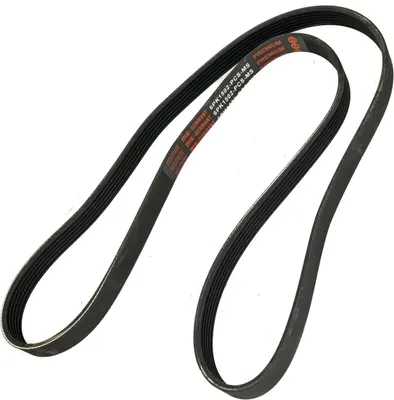 Produktbild von MS 6PK1502-PCS-MS Keilrippenriemen, Flachriemen für FORD FOCUS III