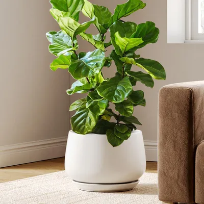 Obrázok produktu pre Keramický kvetináč, 30 cm, s podstavcom, matná biela farba