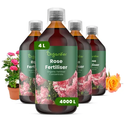 Produktbild von Rosen Flüssigdünger 4x1L – 3-4-3 NPK – Flüssig-Pflanzendünger für Rosen – Für Garten, Beet & Kübelpflanzen – Organifer