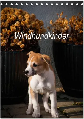 Produktbild von Windhundkinder (Tischkalender 2026 DIN A5 hoch), CALVENDO Monatskalender