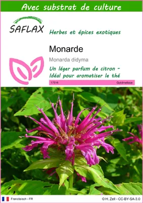Image de SAFLAX  - Monarde - 20 graines - Avec substrat - Monarda