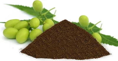 Produktbild von Niempresskuchen 2kg organischer NPK Dünger  fein gemahlen Presskuchen Niem Neem