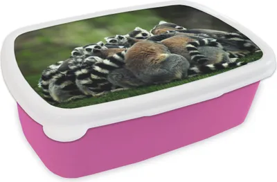 Produktbild von KitchenYeah® Lunchbox Brotzeit Brotdose 17x11 cm Affen - Ringelschwanzlemuren - Wald Kinder Brotzeitdose - Lunchpaket - Brotkasten  - Sandwich Box