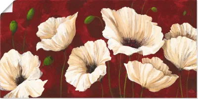 Produktbild von ARTland Poster Weiße Mohnblumen vor rot Größe: 40x20 cm