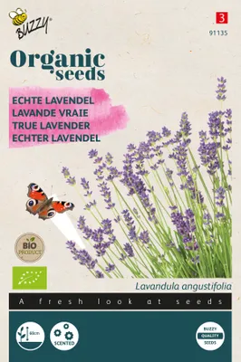 Produktbild von Echter Lavendel | Lavendelsamen von Buzzy Seeds