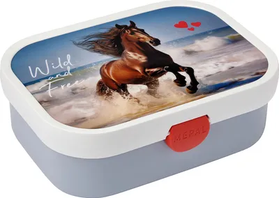 Produktbild von Mepal - Brotdose Campus - Bento Box Kinder - Brotdose mit Fächern & Gabel - Meal Prep Box mit Clip-Verschluss - BPA-frei & Spülmaschinenfest - 750 ml - Wild horse