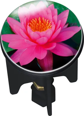 Produktbild von WENKO Pluggy Abfluss Waschbecken Stöpsel Stopfen Pink Lily Bad Gäste WC Küchen
