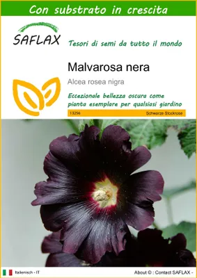 Immagine prodotto di SAFLAX - Malvarosa nera - 100 semi - Con substrato - Alcea