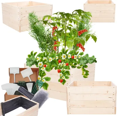 Produktbild von MODO24 Hochbeet Holz, Pflanzkasten, Massivholz, Kiefer, Kräuterbeet, Blumenkasten, Garten, Terrasse, 36x83x80 cm, Natur, ZP06