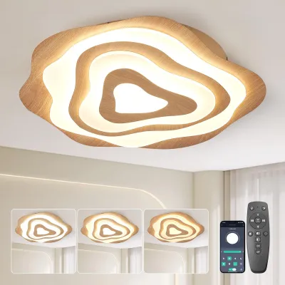 LED Deckenleuchte dimmbar 50 cm 48 W 2700K-6500K mit Fernbedienung