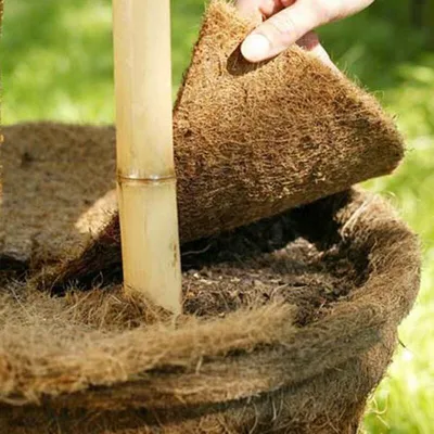 Image de Disque de paillage en coco 25cm Tapis de coco Protection hivernale Protection des plantes contre le gel