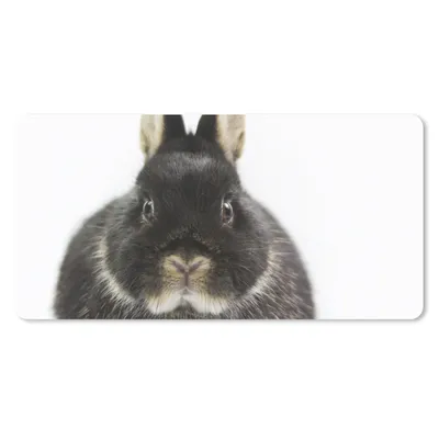Produktbild von MuchoWow® Mauspad Mousepad Kaninchen - Haustiere - Fell 60x30 cm - Mousepads - Maus Mat - Pad - Mausunterlage - Nachhaltig