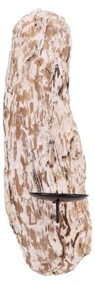 Produktbild von Wandkerzenhalter aus Treibholz, Beige, 30x10x8 cm