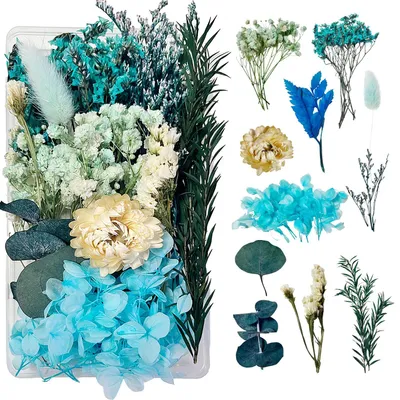Image de Jeu de fleurs séchées - Fleurs naturelles séchées pour des projets de bricolage et de décoration - Couleur bleue