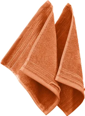 Produktbild von Erwin Müller Seiftuch Heidelberg" 2er-Pack terra 30x30 cm"