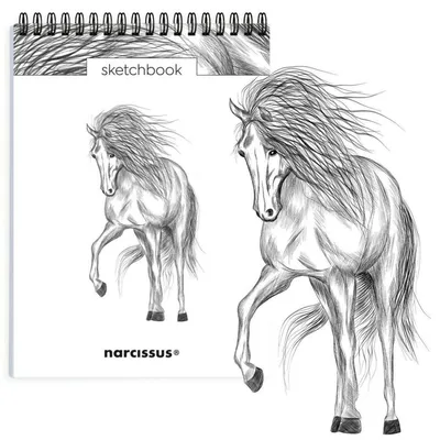 Productafbeelding van A5 schetsboek / 60 pagina's, gebonden met spiraal - Paard - Narcis