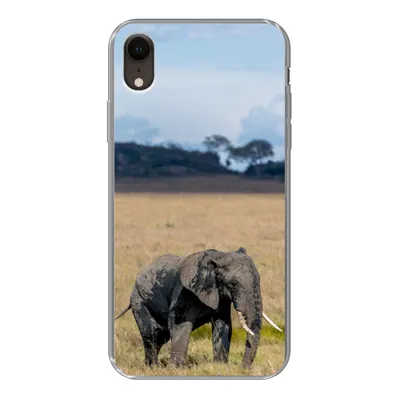 Produktbild von MuchoWow® Handyhülle Schutzhülle Hülle für iPhone XR Elefant - Gras - Tiere - Natur Silikon Softcase Handy Hülle - Schutzdeckel