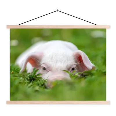 Produktbild von MuchoWow® Textilposter Schwein - Tiere - Groß 120x90 cm mit holzfarbenen Rahmen - Magnetisch