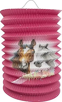 Obrázek produktu pro Idena tahací lucerna koně 15,5x26cm