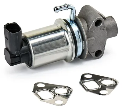 Produktbild von RIDEX 1145E0031 AGR-Ventil mit Dichtung für VW Golf IV Schrägheck (1J1) Abgasrückführungsventil