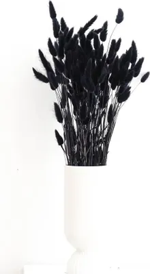 Produktbild von Lagurus Hasenschwanz Samtgras Trockenblumen 60-70cm DIY Blumendeko