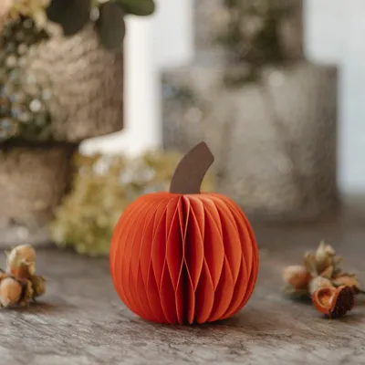 Produktbild von Kürbis rund aus Papier - orange