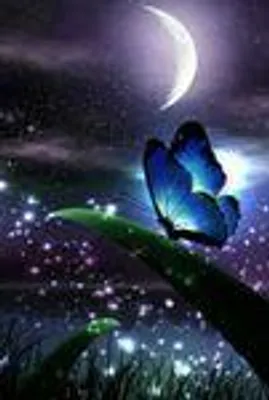 Produktbild von Diamond Painting Vollbild 30x40cm mit runden Steinen