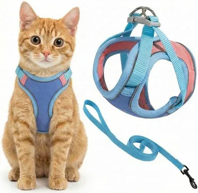 Image de Ensemble harnais pour chat - Taille M - Harnais pour chat avec laisse - Réfléchissant - Anti-évasion - Laisse pour chat de 1,5 m - Bleu/Multicolore