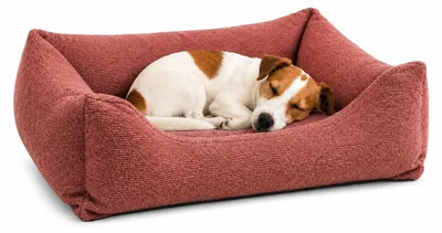 Productafbeelding van Hondenbed - Kattenbed, orthopedisch - Baleno, rechthoekig, rood - 65 x 50 x 20 cm - Me