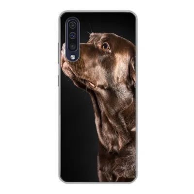 Produktbild von MuchoWow® Handyhülle Schutzhülle Hülle für Samsung Galaxy A30s Hund - Braun - Porträt Silikon Softcase Handy Hülle - Karteninhaber