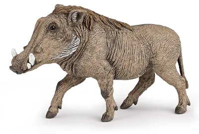Image de Figurine de jeu Papo Phacochère