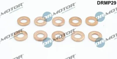 Produktbild von DR.MOTOR AUTOMOTIVE DRMP29 Dichtungssatz Einspritzdüse für FIAT Ducato Kastenwagen (250, 290)