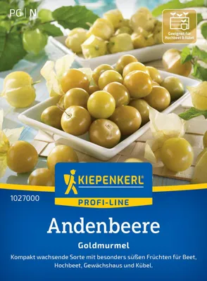 Artikelbild 2 von 'Andenbeere Goldmurmel' aus der Kategorie Andenbeerensamen