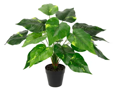 Image de Plante artificielle en pot, lierre, plante décorative, plante artificielle, fleur en soie, plante décorative réaliste, plante verte, plante d'intérieur, fleur artificielle, plante décorative de bureau, 40 x 25 x 25 cm