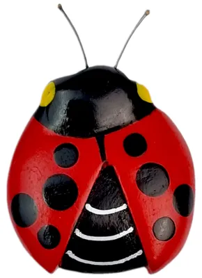 Immagine prodotto di 2Kids Toys Magnete in legno grande coccinella