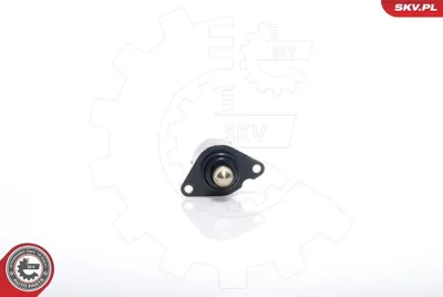 Produktbild von ESEN SKV 08SKV017 Leerlaufregler passend für PEUGEOT 206 Schrägheck (2A/C) Luftversorgung