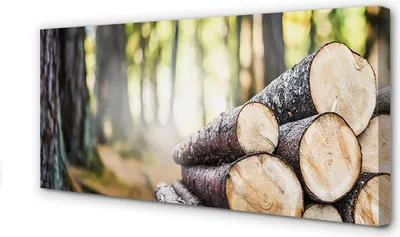Produktbild von Leinwandbild 120x60 Wandkunst Holz Wald Natur