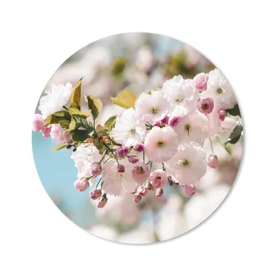Produktbild von MuchoWow® Mauspad Mousepad Blumen - Blüte - Frühling 20x20 cm - Mousepads - Maus Mat - Pad - Mausunterlage - Schreibtischmatte