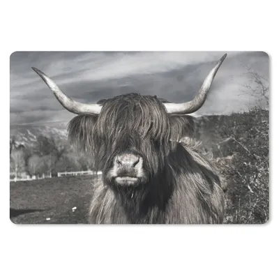 Produktbild von MuchoWow® Schreibtischunterlage Schottischer Highlander - Tiere - Hörner 60x40 cm - XXL Mauspad - Großes Mauspad