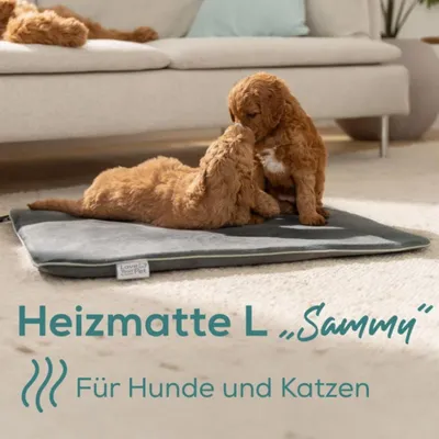 Produktbild von BEURER Heizmatte f.Haustiere 65x50cm 2St. Timer IPX7 Ü-Schutz gr