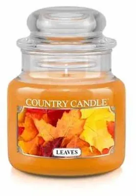 Immagine prodotto di Candela profumata Country Candle, formato mini, con un'unica miccia (104 g)
