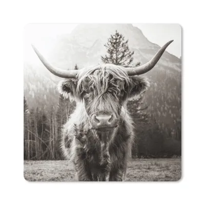 Produktbild von MuchoWow® Mauspad Mousepad Schottischer Highlander - Tiere - Schwarz - Weiß 20x20 cm - Mousepads - Maus Mat - Pad - Mausunterlage - Desk Mat - Bureauartikeln