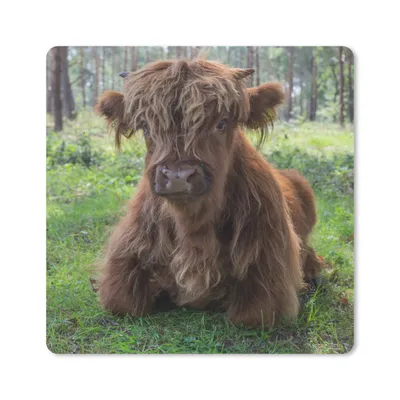 Produktbild von MuchoWow® Mauspad Mousepad Schottischer Highlander - Kröte - Tiere 20x20 cm - Mousepads - Maus Mat - Pad - Mausunterlage - Desk Mat - Bureauartikeln