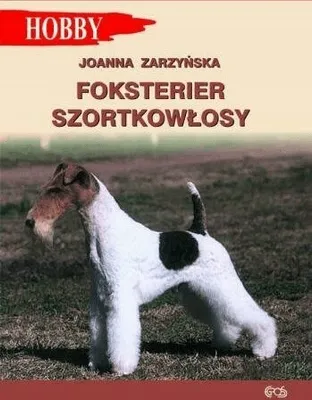 Zdjęcie produktu dla Foksterier szorstkolosy