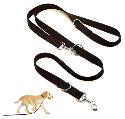 Produktbild von Hundeleine für große Hunde, mit zwei Karabinern (Schwarz, 2,5 x 260 cm)