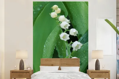 Produktbild von MuchoWow® Fototapete für Wohnzimmer oder Schlafzimmer Wandtapete Vinyl Motivtapete Die vielen Wassertropfen auf der Lilie von Dalen - 160x240 cm - Vinyltapete