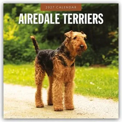 Produktbild von Airdale Terriers - Airdale Terrier 2027 - 16-Monatskalender